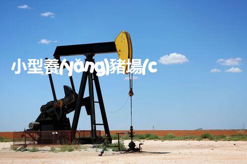 小型養(yǎng)豬場(chǎng)廢水處理設(shè)備的環(huán)保革命？答案在那個(gè)地點(diǎn)！